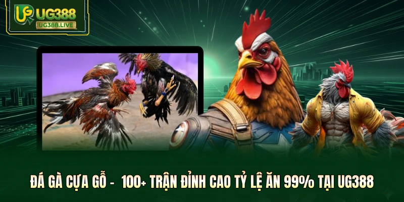 Đá Gà Cựa Gỗ -  100+ Trận Đỉnh Cao Tỷ Lệ Ăn 99% Tại UG388
