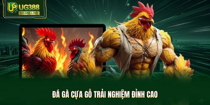 Đá gà cựa gỗ trải nghiệm đỉnh cao 