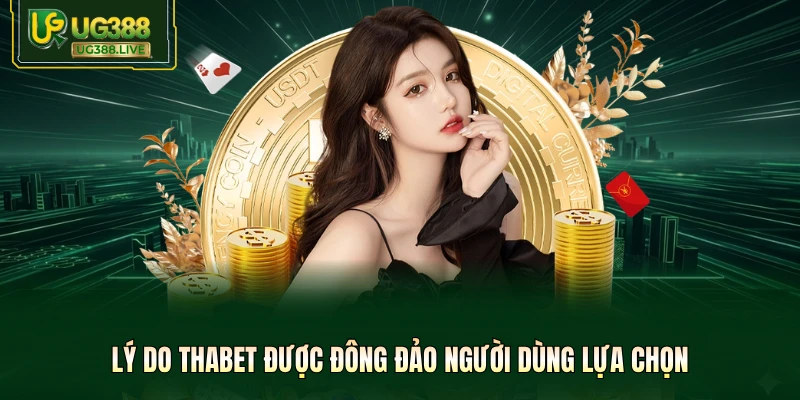 Lý do Thabet được đông đảo người dùng lựa chọn