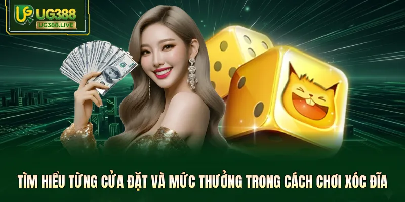 Tìm hiểu từng cửa đặt và mức thưởng trong cách chơi xóc đĩa