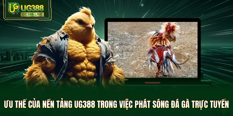 Ưu thế của nền tảng UG388 trong việc phát sóng đá gà trực tuyến